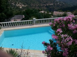 pool strauch